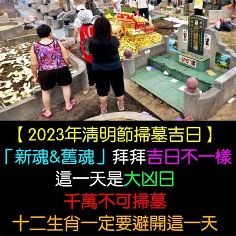 2023 清明掃墓吉日|2023年清明節掃墓吉日曝！專家：這時間「最佳」 